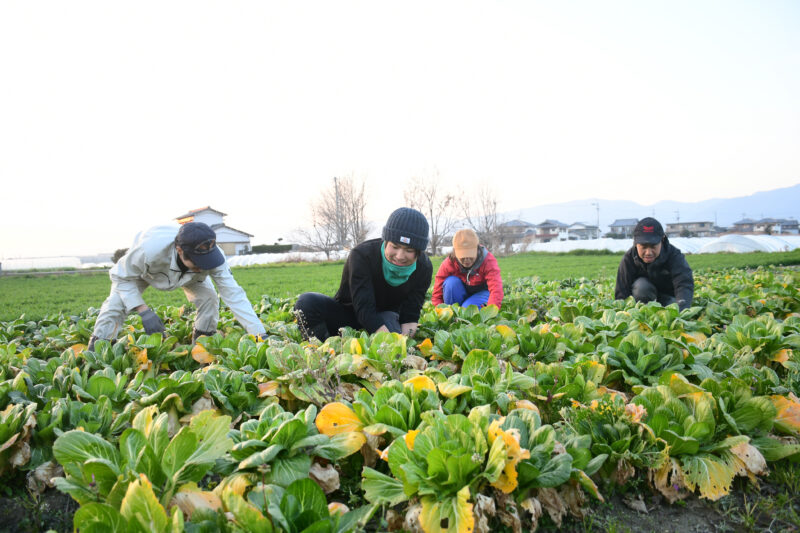 無農薬・無肥料の「自然農法」野菜。オーガニック農園の恵み - Lacycle